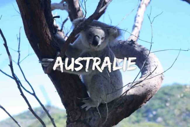 blog de voyage région de Queensland en australie