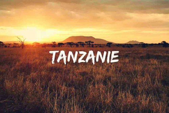 voyager-en-tanzanie