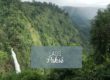 Pakse plateau bolovens que faire